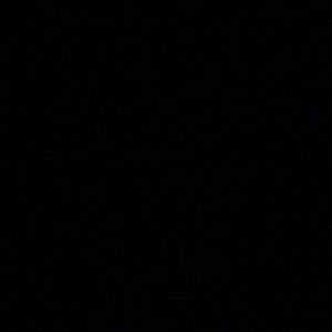 Meet your Posher, Penni